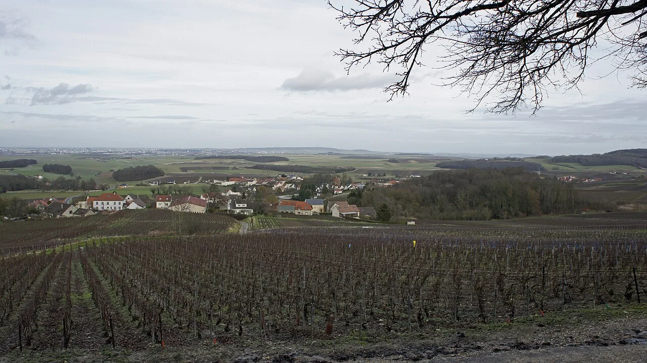 Vue de Sermiers_vers_Reims .